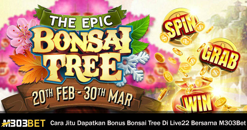 Bonus Bonsai Tree Di Live22